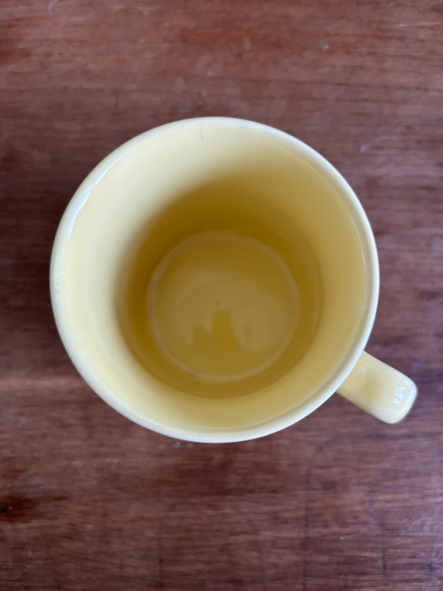 Zomax Heat Sensitive Mug