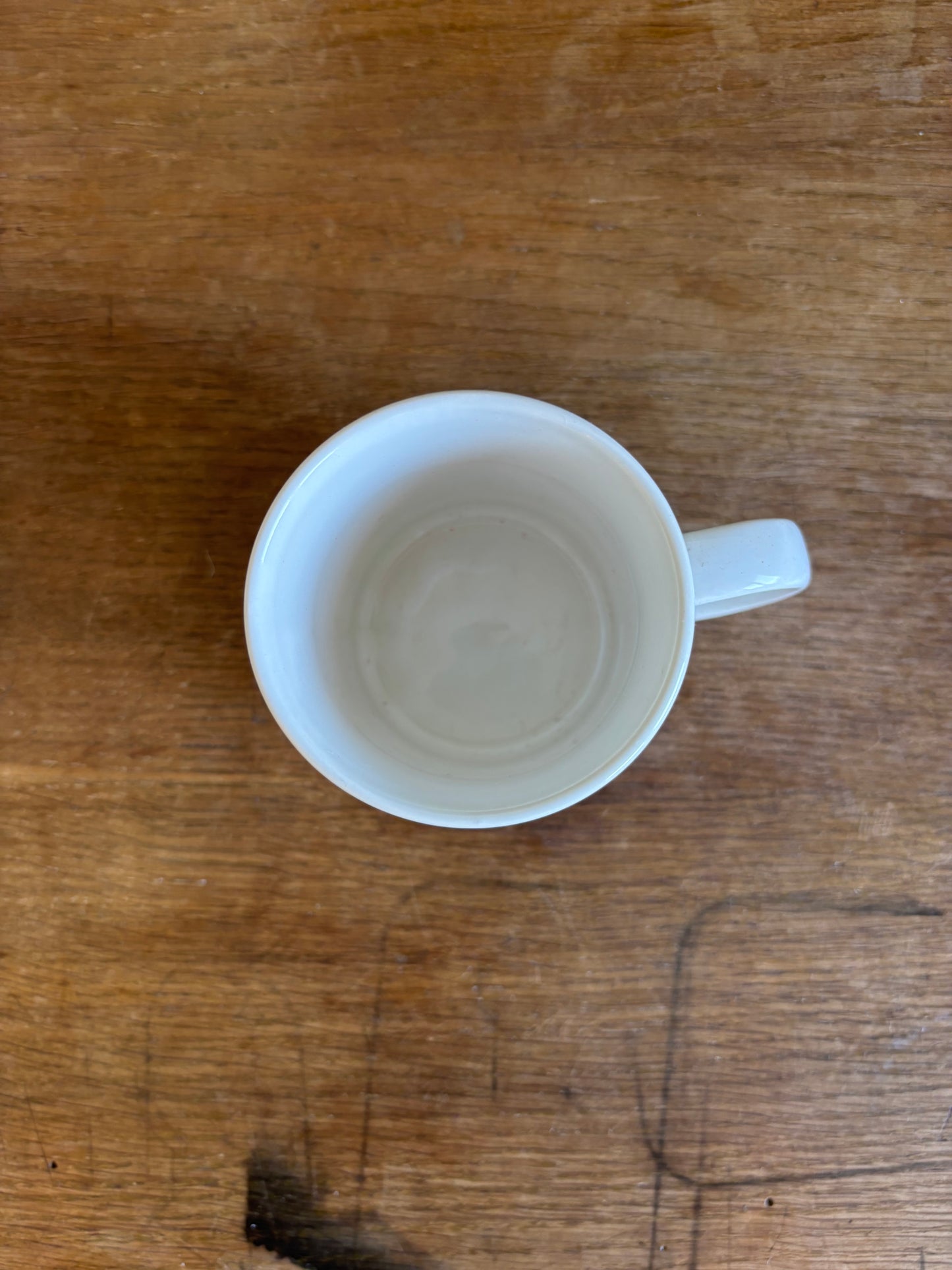 Celectol Mug