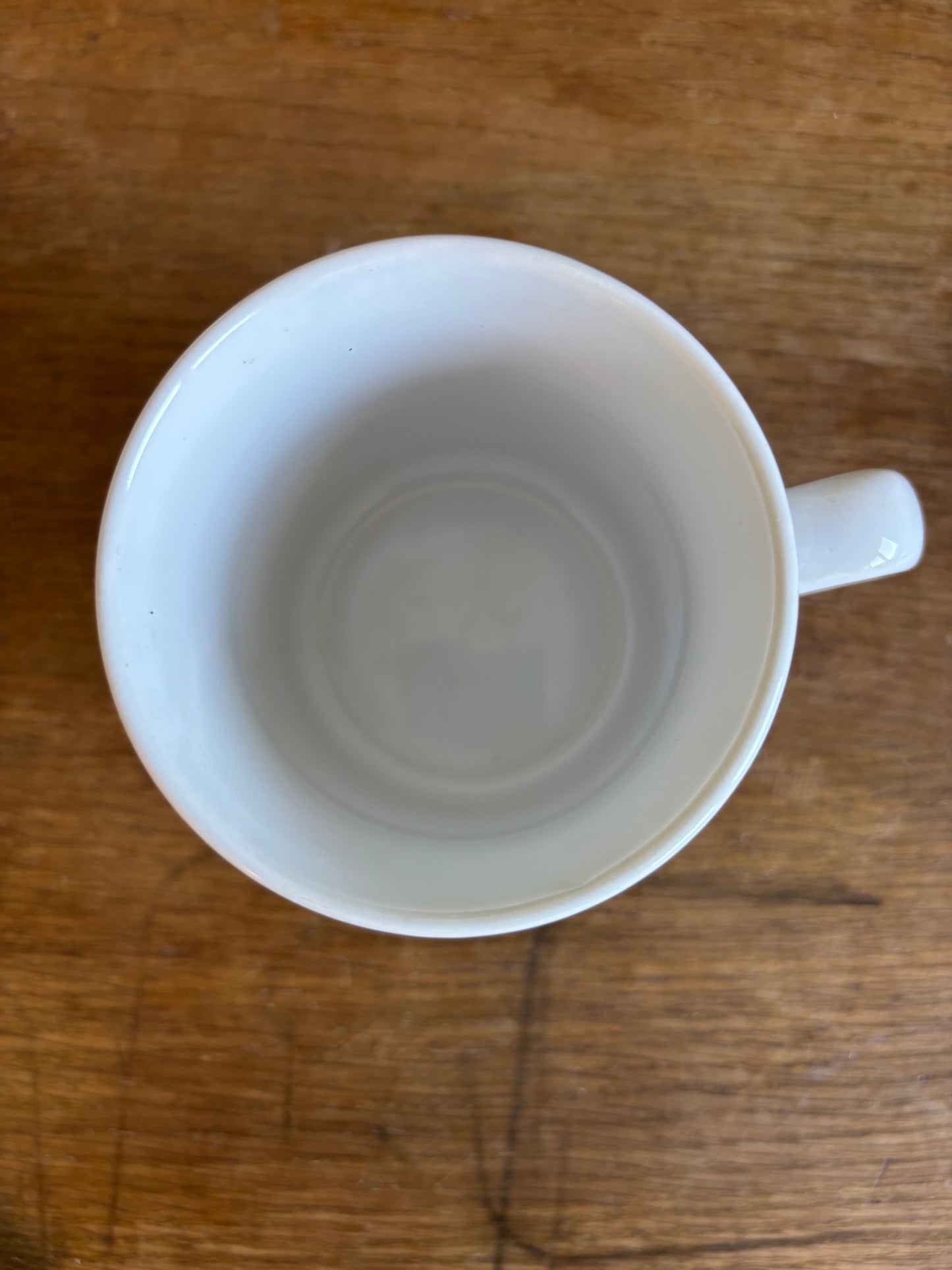 Aldactone Mug