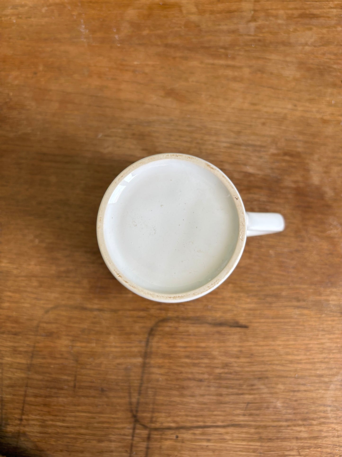 Fortisip Multicoloured Mug