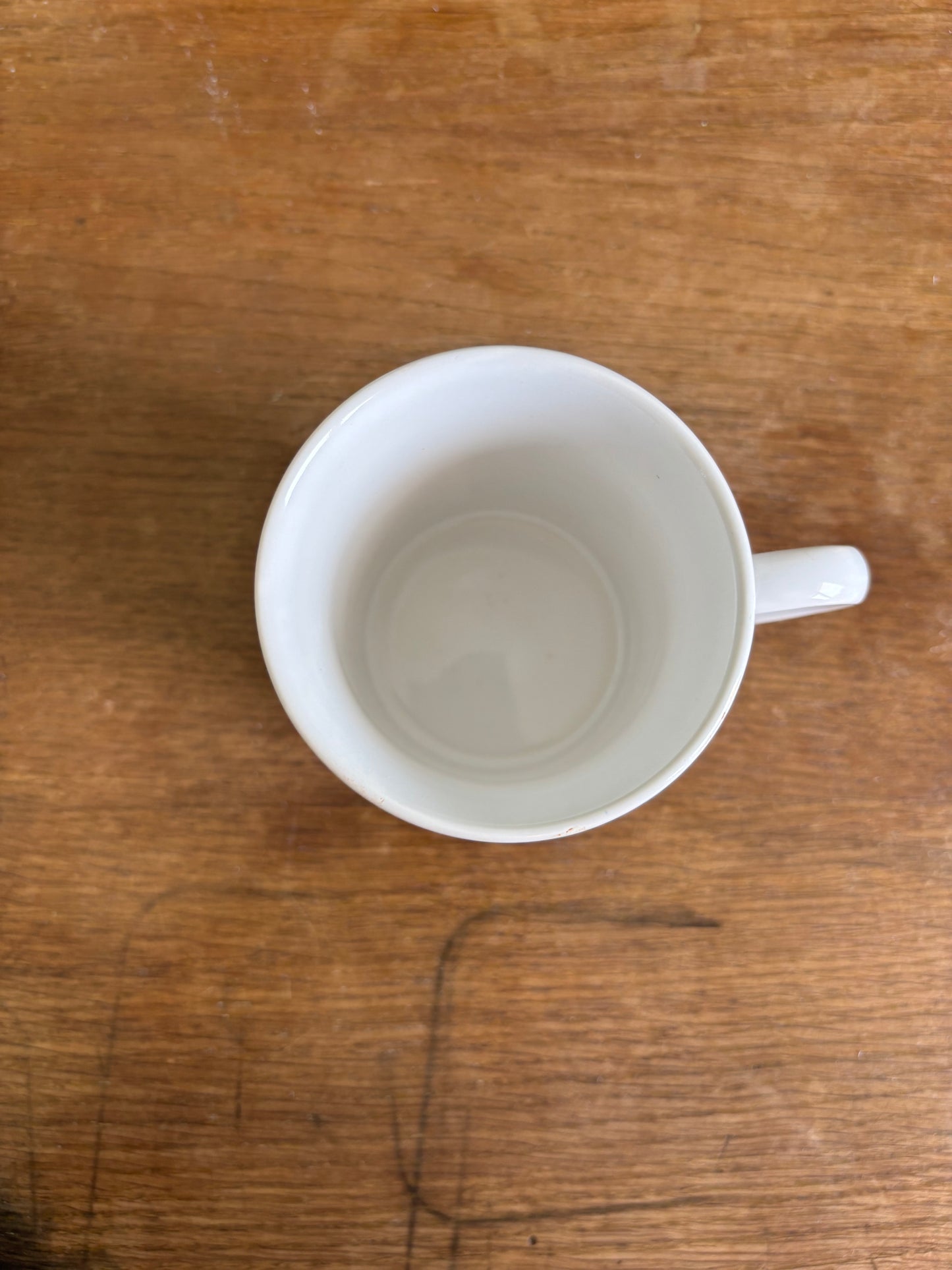 Fortisip Multicoloured Mug